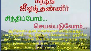 ஆபிரகாமின் ஆனந்தம்