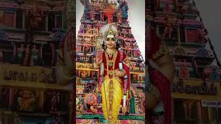 🔯🌺உன் கஷ்டம் அனைத்தும் சந்தோசமாக மாறப்போகிறது🌺🔯 #devotional #tamil #god #trending #shorts #viral