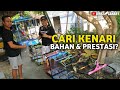 CARI KENARI LOMBA⁉️REVIEW KENARI BAHAN & PRESTASI ADIPOETRA CANARY KLATEN