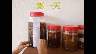 DIY：制作环保酵素 （仅供外用）Membuat Eco-Enzim (untuk kegunaan luaran sahaja)