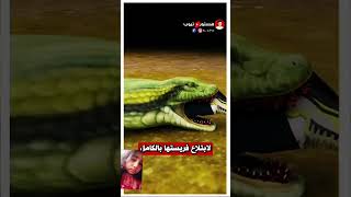 شاهدوا ماهو سر هجوم الثعبان على البشر #حقائق_اسرار #علوم  #معلومات_عامة #معلومات_صادمة #حقائق_غريبة