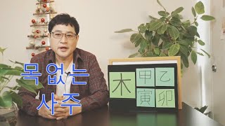 목(木)이 없는 사주 어떻게 살아야 할까?