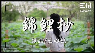 錦鯉抄 - 銀臨/雲の泣「你在塵世中輾轉了千百年，卻只讓我看你最後一眼」♫動態歌詞lyrics♫