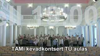 Tartu Akadeemilise Meeskoori kevadkontsert Tartu Ülikooli aulas.