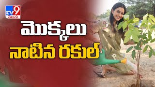 Rakul Preet Singh accepts Naga Chaitanya's Green India Challenge - TV9