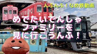 【鉄道動画】なめこ×南海電車 めでたいでんしゃファミリーを見に行こうんふ！