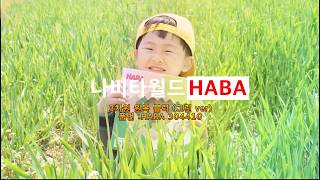 원목교구/장난감 : 하바(HABA) 3차원블럭