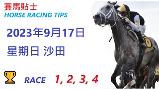 🏆「賽馬貼士」🐴2023年 9 月 17 日💰 星期日  😁 沙田   香港賽馬貼士💪 HONG KONG HORSE RACING TIPS🏆 RACE   1  2  3  4      😁