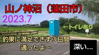 行く度変わる山ノ神沼に３日間！　【蓮田市山ノ神沼】2023.7