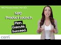 NPD Product Launch: Bridging Vision and Market Reality