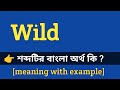 Wild Meaning in Bengali With Example || Wild শব্দটির বাংলা অর্থ কি হবে ?