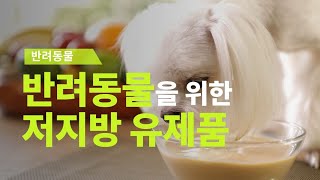 [농업 혁신기술 영상기획전] 맛과 건강기능성 모두 충족한 반려동물 전용 저지방 유제품