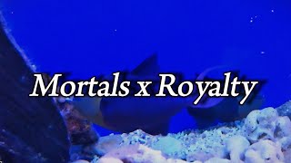 Mortals x Royalty (Mashup) | Lyrics