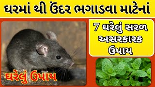 ઉંદર ભગાડવાના 7 ઘરેલું ઉપાય | Chuha bhagane ke upay | Hitesh Sheladiya