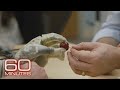 Following the breakthroughs in prosthetics | 60 Minutes