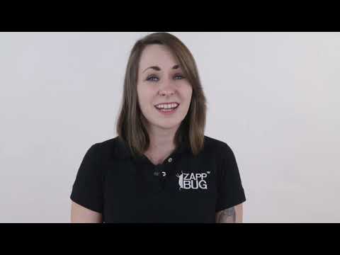 STEP #3: DEALING WITH LARGE FURNITURE | Get rid of Bed Bugs STEP #3: DEALING WITH LARGE FURNITURE | Get rid of Bed Bugs