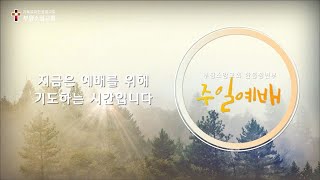 2022. 11. 13 부평소망교회 청년부 예배