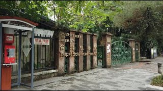 台北散步首選＿台北苗圃＞林業試驗場＞台北植物園＿上