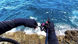 日本海の磯がパラダイスだった件