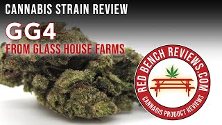 Glass House Farms | GG4 Strain Review | 24.83% THC!