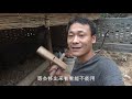 3000元买古宅第112 113天：150元买到两根百年老房梁，本来想着修亭柱！结果锛开一看却赚大了【河北小五】