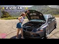 Mitsubishi EVO IX - Trade? It’s Too hot to handle!