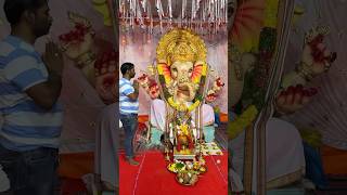 మా కాలనీ గణేశ | my colony Lord Ganesha | Ammulu And Family