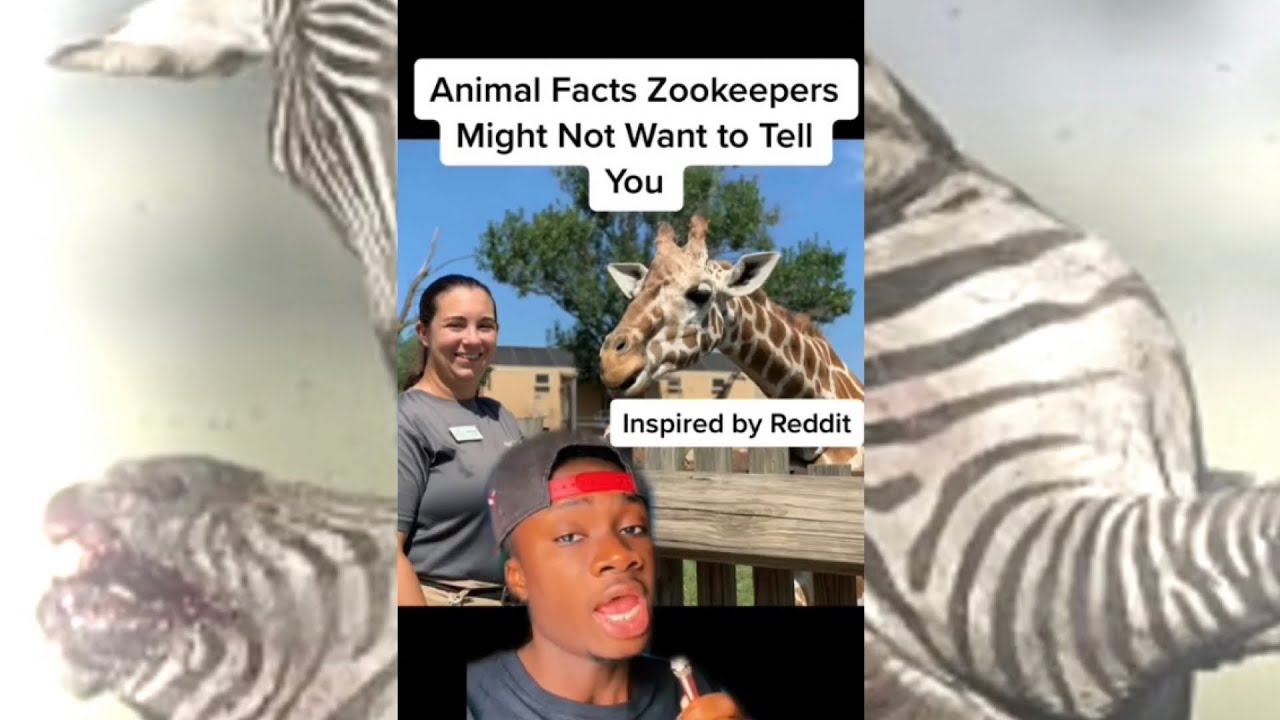 Animal Secrets Zoos Don’t Want You To Know