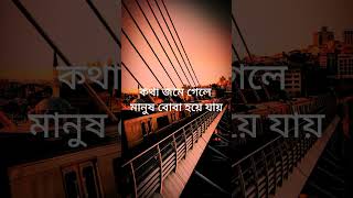 কথা জমে গেলে মানুষ বোবা হয়ে যায়  emotional speech #emotional #trending #sadsong