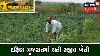 ANNADATA | દક્ષિણ ગુજરાતમાં થતી સજીવ ખેતી । May 26, 2019