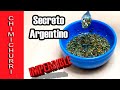 CHIMICHURRI Argentino - Receta ORIGINAL  +  SECRETO 💪