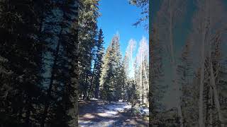 1/27/25 hike Arizona #desertmountain #hiking #mountains #nature #video #desert #arizona #January