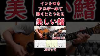 【introTAB】美しい鰭/スピッツ #shorts