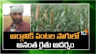 Organic Cultivation | ఆర్గానిక్ పంటల సాగులో అనంత రైతు ఆదర్శం | Matti Manishi | 10TV News