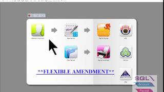 SQL Payroll - Flexible Amendment