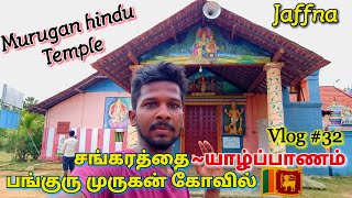 Murugan kovil in tamil வட்டுக்கோட்டை பங்குரு முருகன் கோவில் | Jaffna Suthan