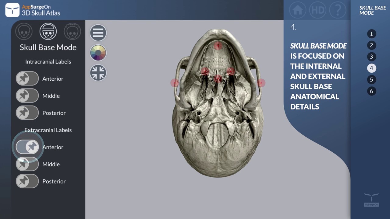 Skull Base Mode - AppSurgeOn 3D Skull Atlas - YouTube