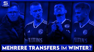 Mehrere Transfers nötig: Auf diesen Positionen muss Schalke Neuzugänge holen! | S04 Analyse