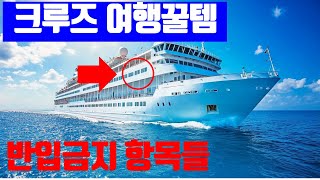 크루즈여행 꿀템 \u0026 반입 금지 품목들 ( 꼭 필요한 3가지 준비물은? )