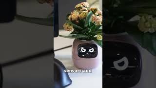 Elevate Your Indoor Garden with a Smart Plant Pot