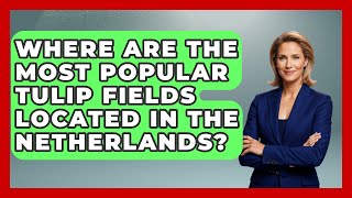 Where Are the Most Popular Tulip Fields Located in the Netherlands? | Exploring The Benelux