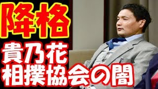 【悲報】貴乃花親方への処分内容＆処分理由がこちら！相撲協会の闇がうごめく...