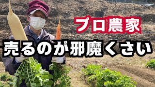 【家庭菜園とプロ農家】決定的な違い