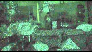 Kinect With Nightshot