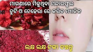 ଚୁଟି ଓ ଚେହେରାରେ କରିବ ମ୍ୟାଜିକ ମନ୍ଦାର ଫୁଲ, gora hebara upaya, hair fall odia, odia recipe, fair skin