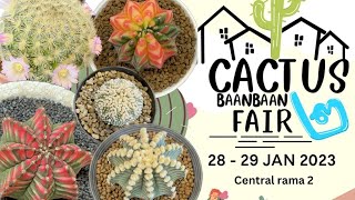 | Garden | พา Tour Cactus Baan Baan Fair #2 @Central Rama II แจกฟรีด้วย 28-29 Jan. 2023 |JdaySpring