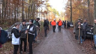 PUNKTum Baum-Pflanzaktion im Forstrevier Zollhaus