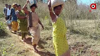 Malkangiri: Basic Amenities Yet To reach Tribals