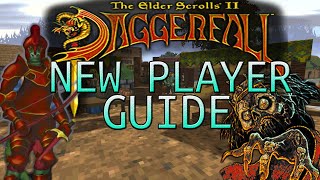 Elder Scrolls 2: Daggerfall | 2024 New Player Guide