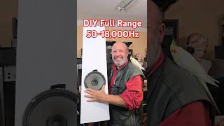 Building DIY Full Range BUDGET Speakers - 1980s Vintage German Speaker Sound Test